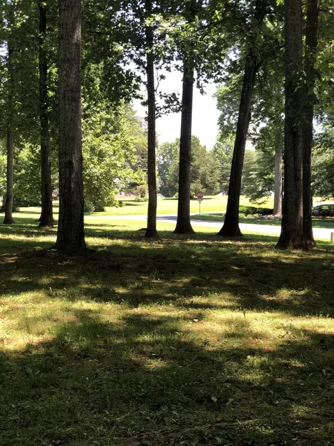 lot146 Driftwood Cir, Penhook, VA 24137