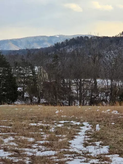 0 Hayden Rd, Eagle Rock, VA 24085 photo 3
