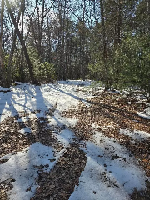 0 Hayden Rd, Eagle Rock, VA 24085 photo 13