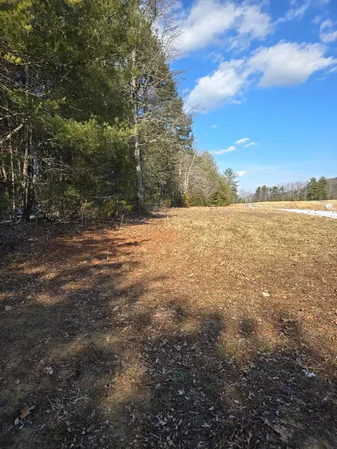 0 Hayden Rd, Eagle Rock, VA 24085 photo 16