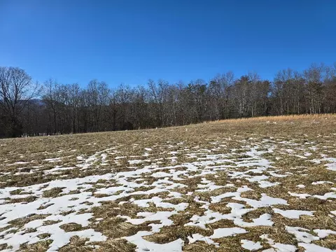 0 Hayden Rd, Eagle Rock, VA 24085 photo 5