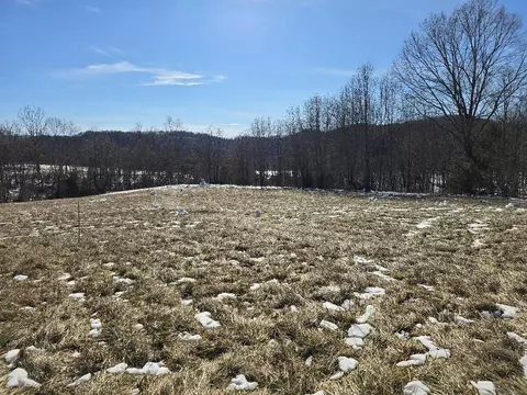 0 Hayden Rd, Eagle Rock, VA 24085 photo 6