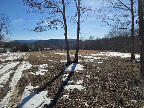 0 Hayden Rd, Eagle Rock, VA 24085