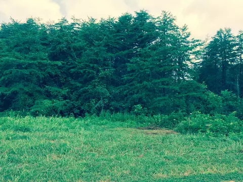 lot3 Belvior Cir, Moneta, VA 24121