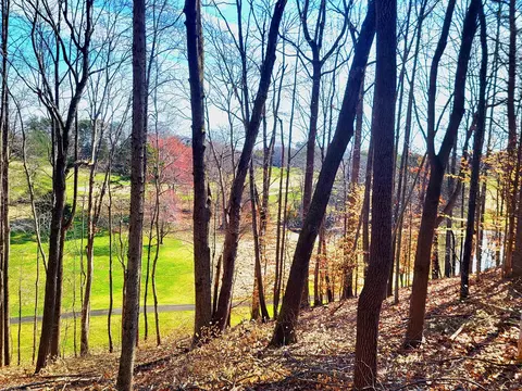 67 Peaks View Dr, Moneta, VA 24121