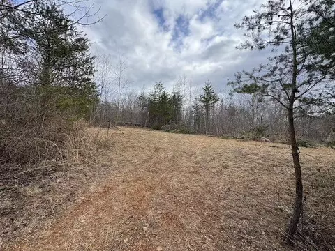 tbd Brammer Spur Rd, Woolwine, VA 24185 photo 10