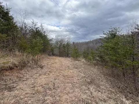 tbd Brammer Spur Rd, Woolwine, VA 24185 photo 6