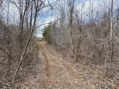 tbd Brammer Spur Rd, Woolwine, VA 24185 photo 3