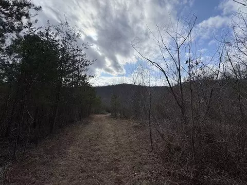 tbd Brammer Spur Rd, Woolwine, VA 24185 photo 17