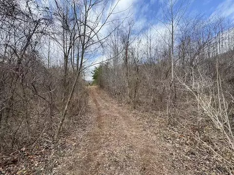 tbd Brammer Spur Rd, Woolwine, VA 24185 photo 2