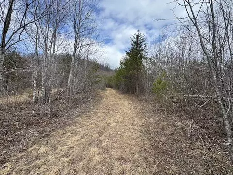 tbd Brammer Spur Rd, Woolwine, VA 24185 photo 12
