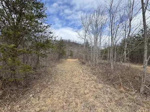 tbd Brammer Spur Rd, Woolwine, VA 24185 photo 11