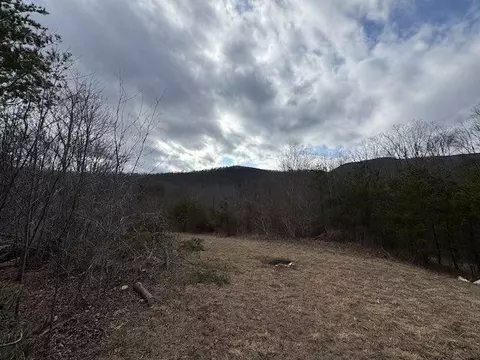 tbd Brammer Spur Rd, Woolwine, VA 24185 photo 13