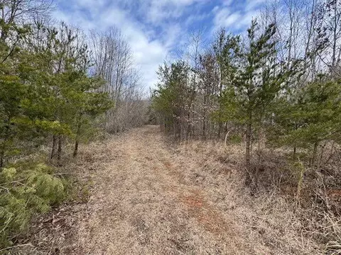 tbd Brammer Spur Rd, Woolwine, VA 24185 photo 7