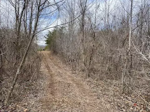 tbd Brammer Spur Rd, Woolwine, VA 24185 photo 4