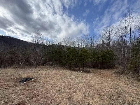 tbd Brammer Spur Rd, Woolwine, VA 24185 photo 14