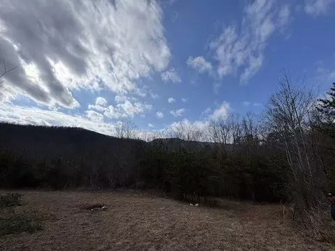 tbd Brammer Spur Rd, Woolwine, VA 24185 photo 19