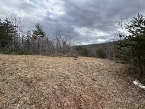 tbd Brammer Spur Rd, Woolwine, VA 24185