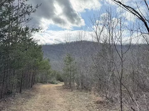 tbd Brammer Spur Rd, Woolwine, VA 24185 photo 18