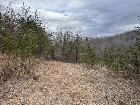 tbd Brammer Spur Rd, Woolwine, VA 24185 photo 5