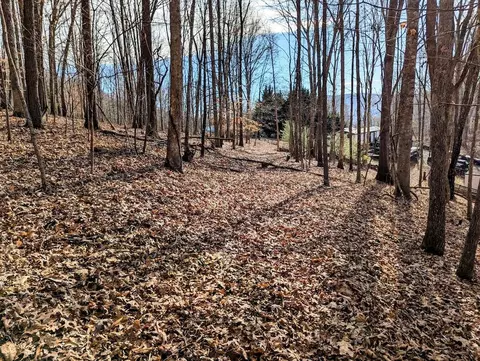 0 Irish Mountain Rd, Allisonia, VA 24347