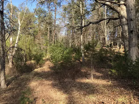 1002 Prices Bluff Rd, Eagle Rock, VA 24085 photo 3