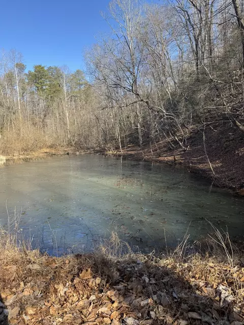 Tract A Truevine Rd, Glade Hill, VA 24092