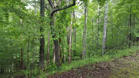 00 Cedar Bluff Ln, Hardy, VA 24101