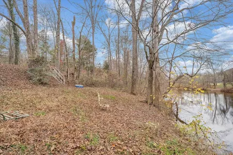 49 Maple Tree Ln, Eagle Rock, VA 24085 photo 45
