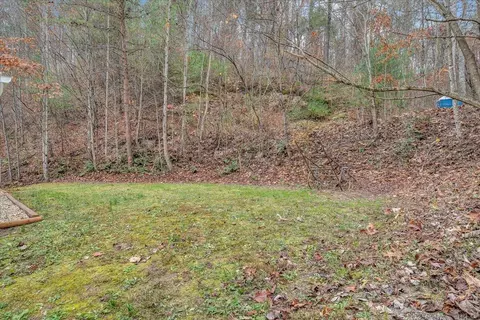 49 Maple Tree Ln, Eagle Rock, VA 24085 photo 32
