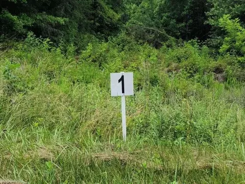 lot1 Dillards Hill Rd, Union Hall, VA 24176