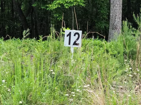 lot12 Belle Isle Dr, Union Hall, VA 24176