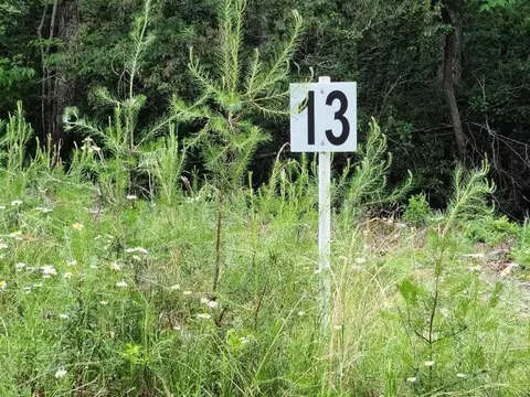 lot13 Belle Isle Dr, Union Hall, VA 24176