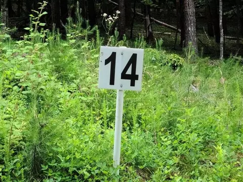 lot14 Belle Isle Dr, Union Hall, VA 24176