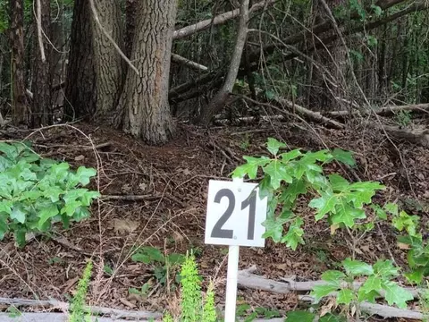 lot21 Belle Isle Dr, Union Hall, VA 24176