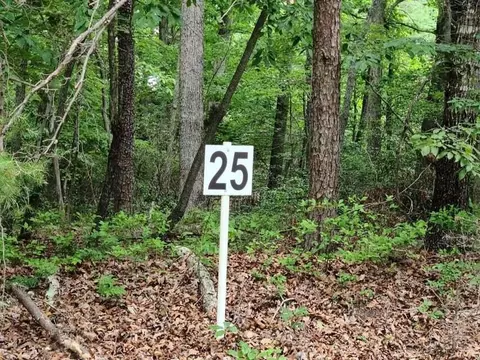 lot25 Belle Isle Dr, Union Hall, VA 24176