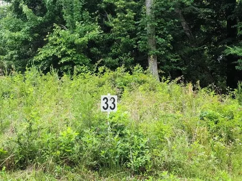 lot33 Dillards Hill Rd, Union Hall, VA 24176