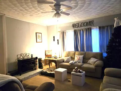 Living - 252 Cherry Tree Btm, Buchanan, VA 24066 photo 1 of 1