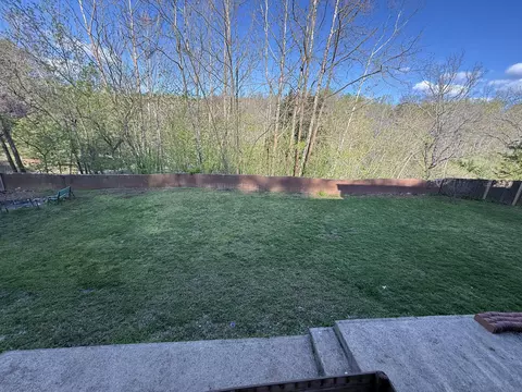 3446 Mount Joy Rd, Buchanan, VA 24066 photo 62