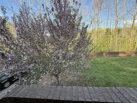 3446 Mount Joy Rd, Buchanan, VA 24066 photo 60