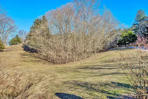 3446 Mount Joy Rd, Buchanan, VA 24066 photo 54