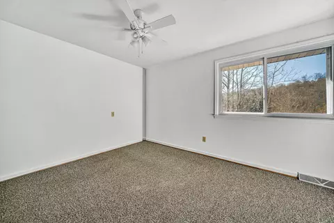 3446 Mount Joy Rd, Buchanan, VA 24066 photo 38