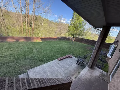 3446 Mount Joy Rd, Buchanan, VA 24066 photo 61