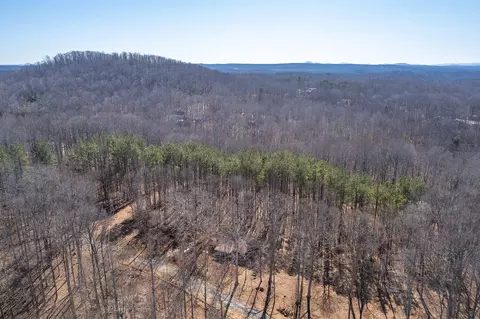 1175 Buck Mountain Rd, Goodview, VA 24095 photo 44