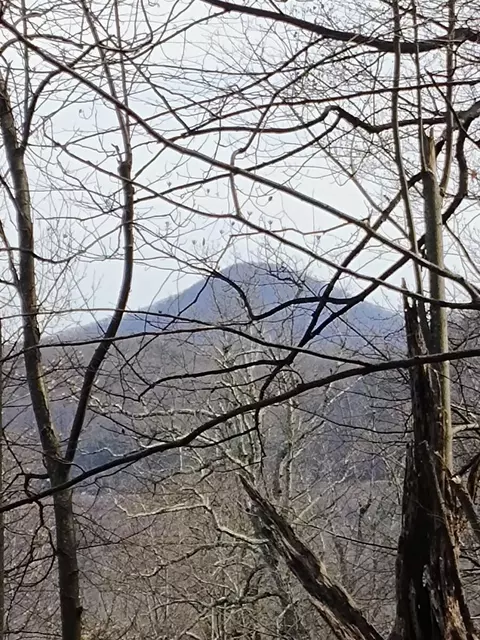 0 Bent Mountain Rd, Bent Mountain, VA 24059 photo 7