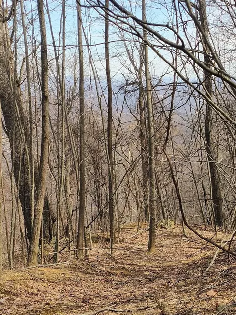 0 Bent Mountain Rd, Bent Mountain, VA 24059 photo 12