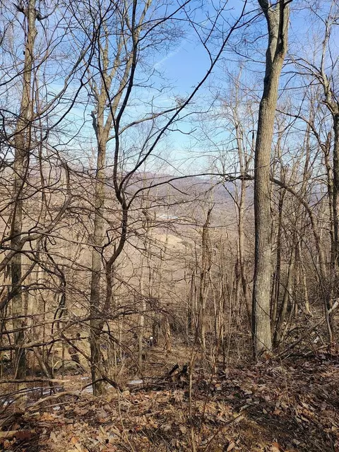 0 Bent Mountain Rd, Bent Mountain, VA 24059 photo 4
