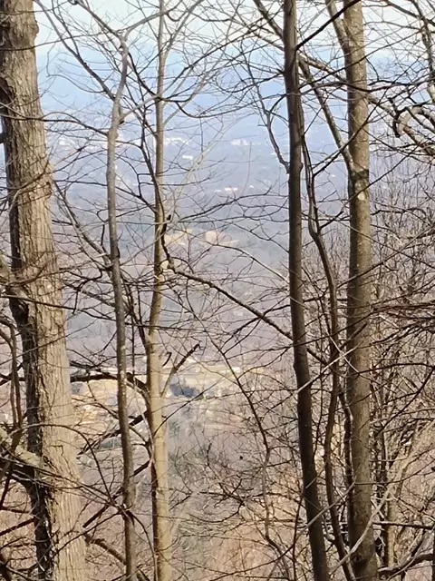0 Bent Mountain Rd, Bent Mountain, VA 24059 photo 9