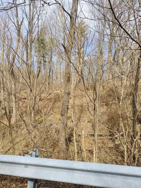 0 Bent Mountain Rd, Bent Mountain, VA 24059 photo 19