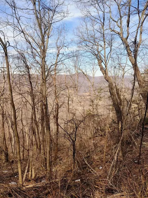0 Bent Mountain Rd, Bent Mountain, VA 24059 photo 17